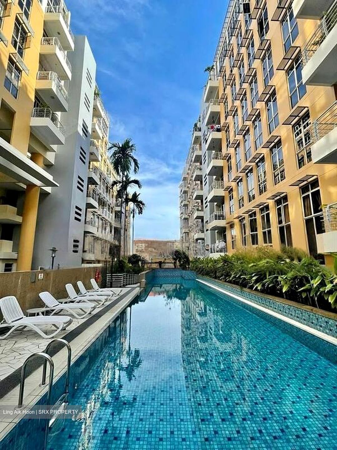 Sims Green (D14), Apartment #452221351